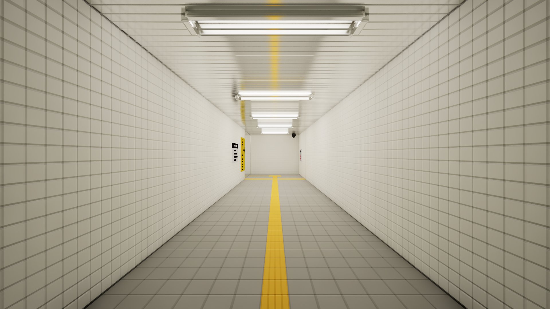 First person view