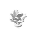 Bush